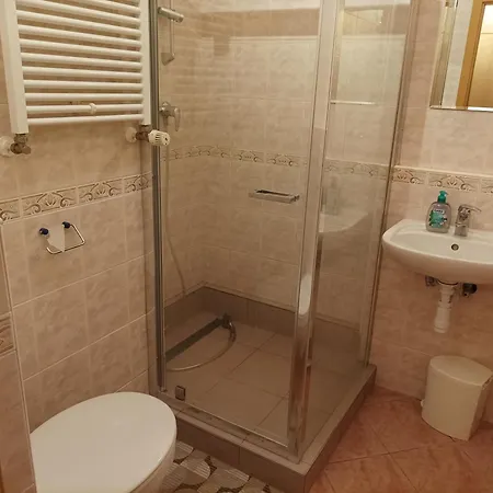 Apartment Balaton 100 *